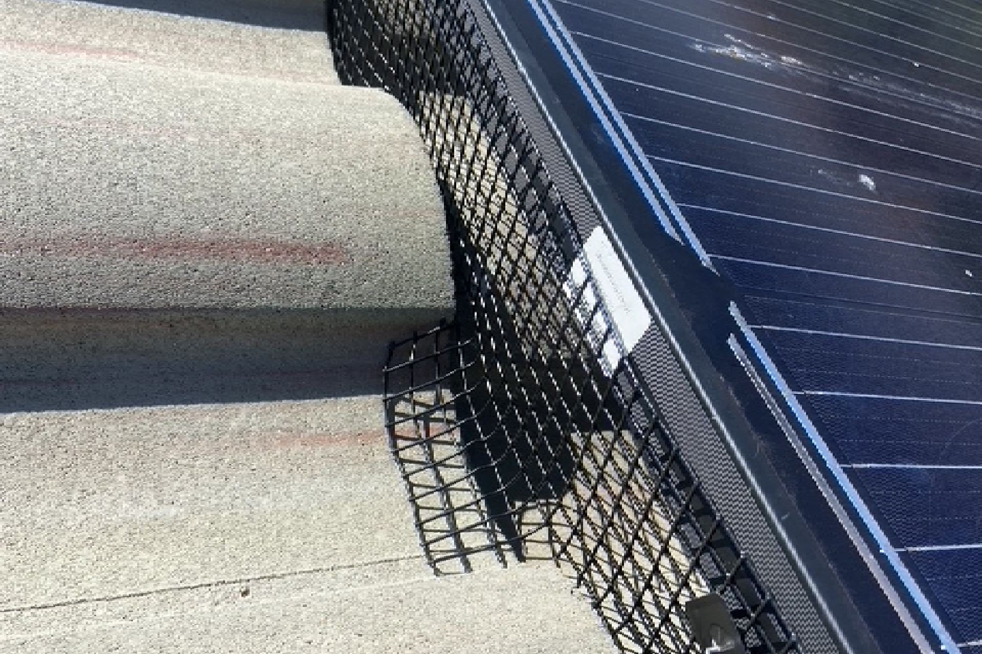 New Project - 2024-04-17T213347.763 spikes on ledge over window