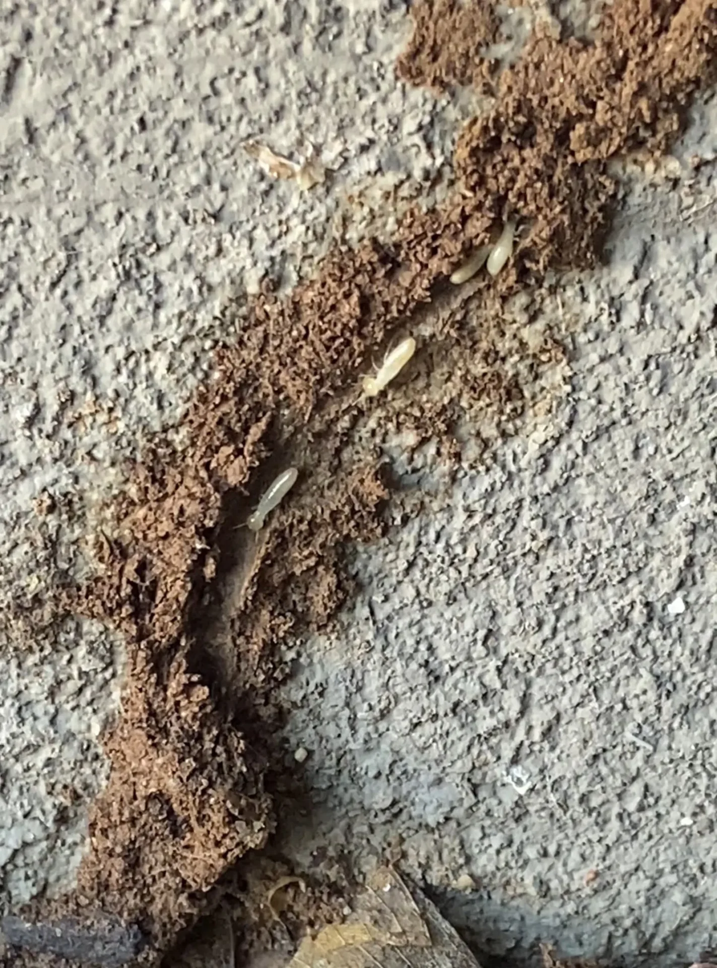 crack in a wall